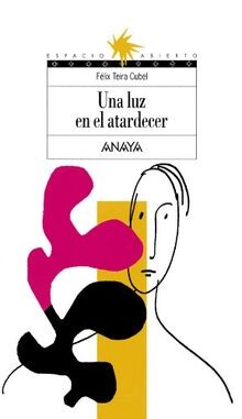 Una luz en el atardecer (Literatura Juvenil (A Partir De... | Buch | Zustand gut