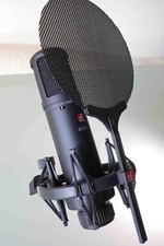 sE Electronics sE2200a II Condenser Microphon...