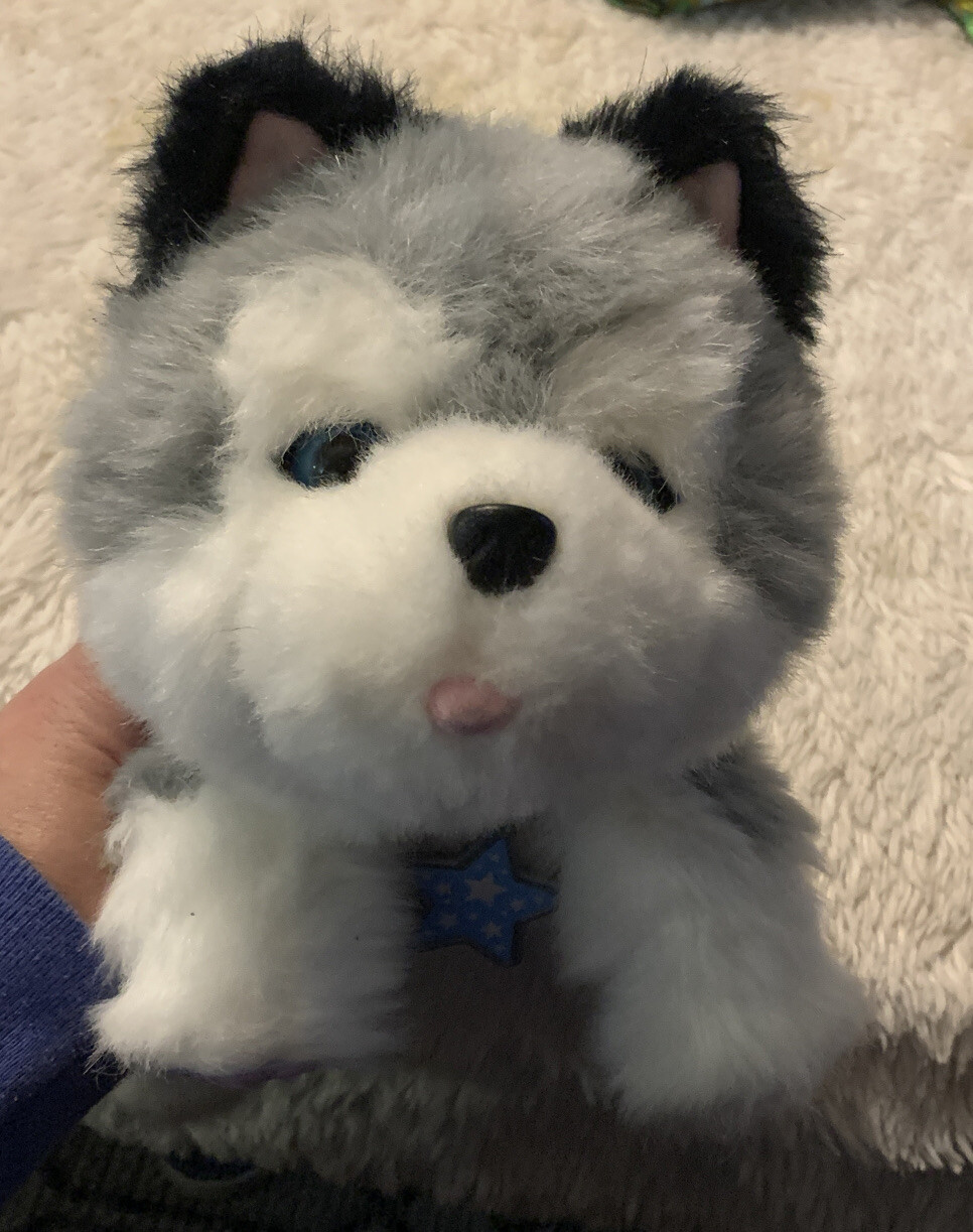 little live pets frosty