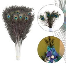 Natural Peacock Tail Feathers Wedding Vase Home Decor 10-100pcs