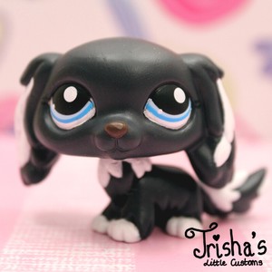 king charles spaniel lps