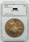 1999 American Eagle 1 oz Silver Dollar - Toning Toned - Bullion Coin - Q585