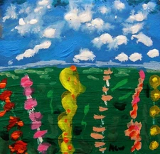 Colorful Flower Fields