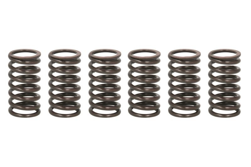 Für TRW MEF317-6 Clutch springs set fits DUCATI 748, 748S, 749, 749R, 749S, 999