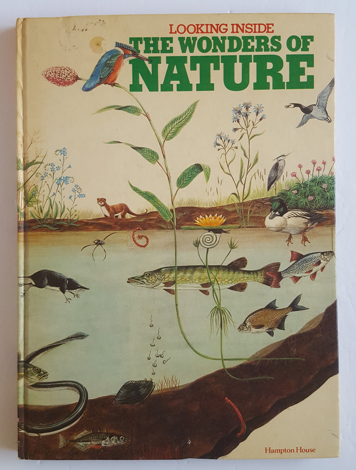 Explore the Wonders of Nature in the 1976 Hampton House Illustrated Vintage Book