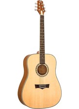 Peavey Dw-1 Dreadnaught Acoustic Guitar With Bag