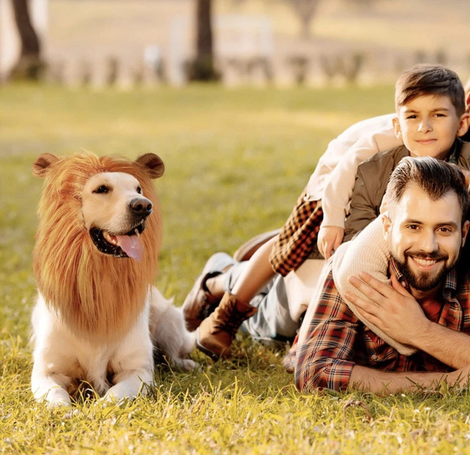 Peluca disfraz de melena y cola de león para perros pequeños, medianos, grandes A0185 Foto 3 de 4