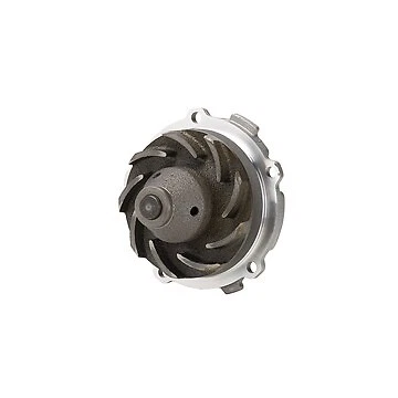 Bomba de agua para motor Buick Century 1994-2005 Dayco 1995 1996 1997 1998 1999 Foto 3 de 3