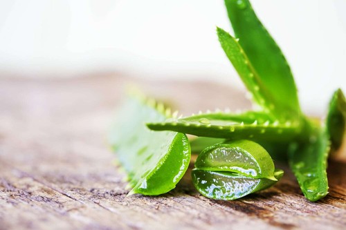 x2 Bottiglie Zuccari Aloe Vera Succo Puro D'aloe Concentrato 1000 ml succo - Foto 2 di 3