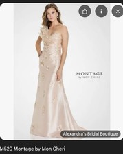 Mother of the Bride New Gown