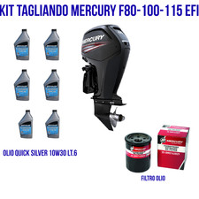 KIT MANUTENZIONE  Ricambi Originali fuoribordo MERCURY F80-100-115 EFI 2.1 L