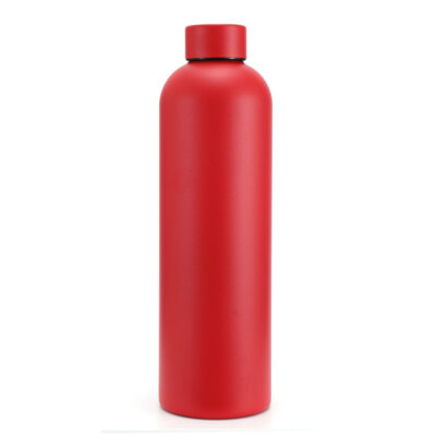 25 Oz. Water Bottle Double Insulated Stainless Steel