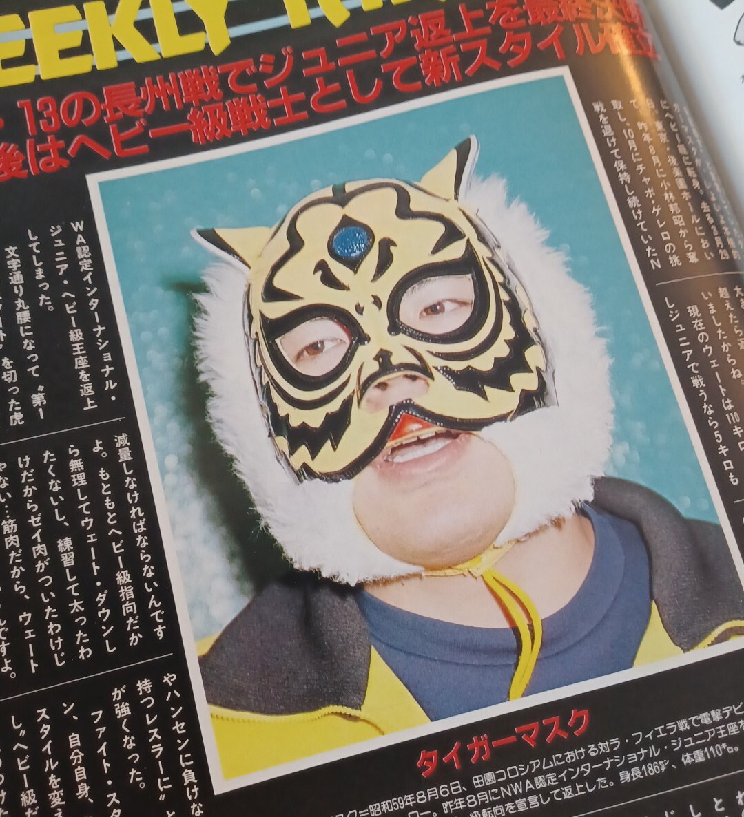 1 9 8 6 Japanese Gong Wrestling Magazine 99 4 24 86 Njpw Iwgp Uwf Inoki Ebay