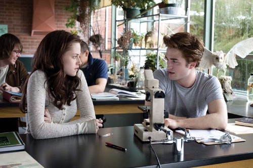Twilight Magnet Bella Swan & Edward Cullen When They First Converse - BRAND NEW