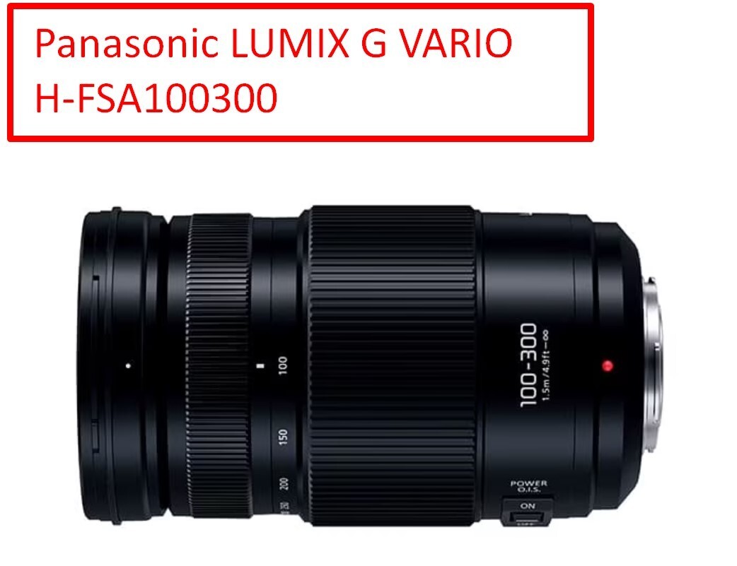 LUMIX G VARIO 100-300mm／H-FSA100300 Panasonic LUMIX G VARIO 100-300mm F4.0-5.6 II POWER O.I.S. H