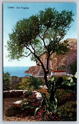 Postcard Italy Capri Via Tragara 50Y