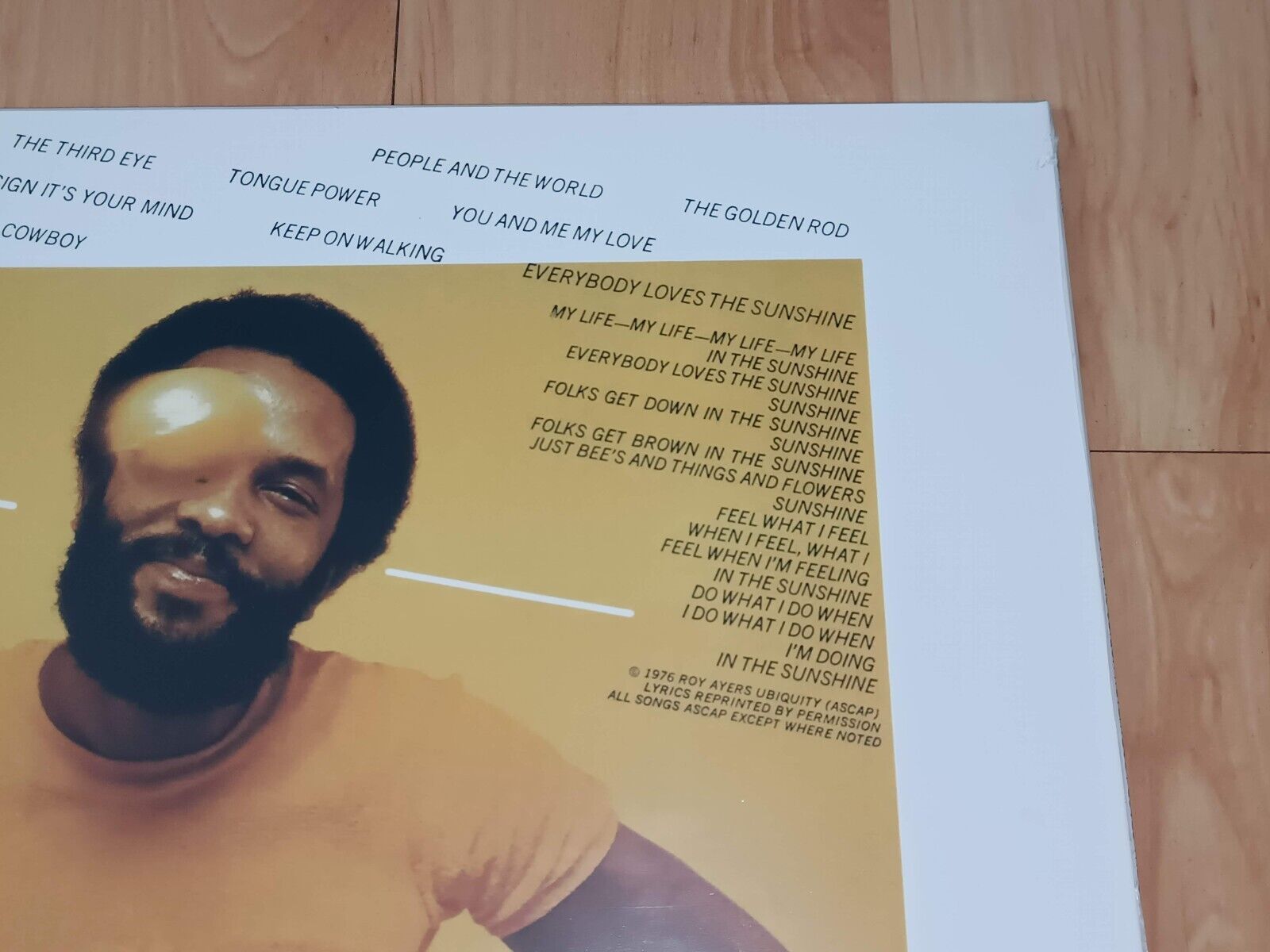 EVERYBODY LOVES THE SUNSHINE (TRADUÇÃO) - Roy Ayers 