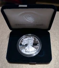 2021-W Proof American Silver Eagle Type 1 Dollar US Mint Bullion OGP