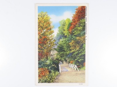 Vintage Postcard Autumn Fall Scene White Bridge Postmarked Haverstraw NY D401