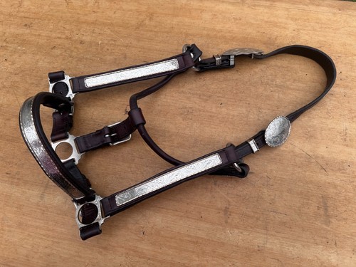 CIRCLE Y Silver Show Horse Halter ~ Full Size