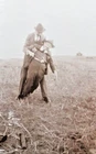 Heritage Private Photo circa 1920! Snapshot Men Accident Rescue Exercise Alcohol??