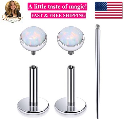 20G 18G 16G Internally Threaded Astm F136 Titanium Nose Ring Studs Flat Back ...