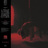 Audio Cd - Knocked Loose - Tear In The Fabric Of Life - Pure Noise Records -D-