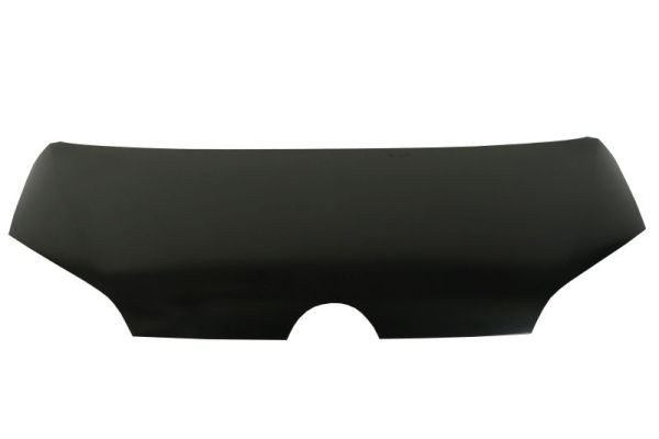 BLIC 6803-00-9516280P Bonnet for VW