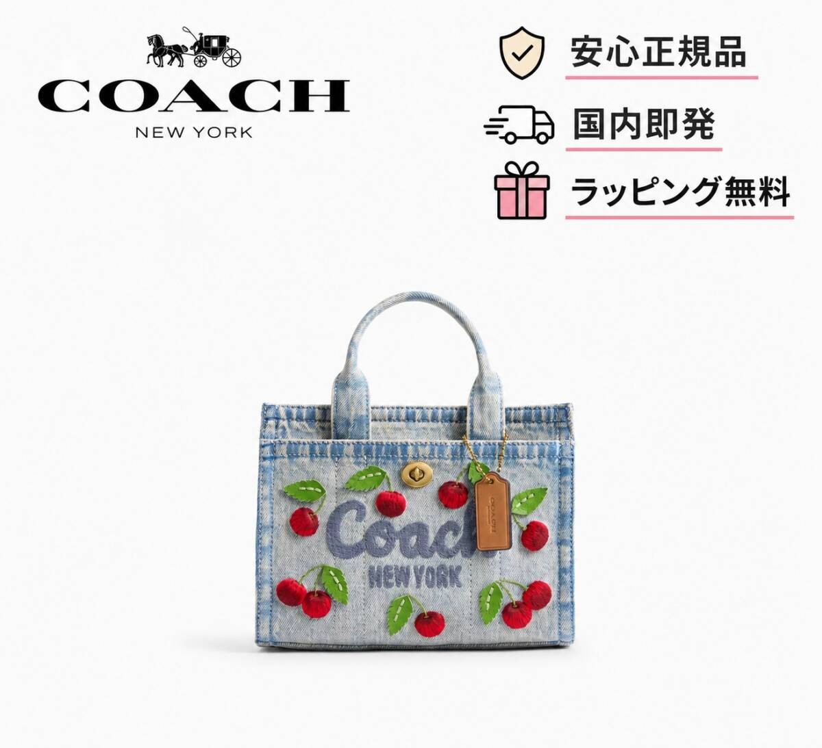 COACH Cargo Tote Bag 20 Cherry Embroidery CDY91 B4 EI