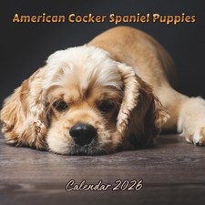 American Cocker Spaniel Puppies Calendar 2026: Organizer For Home  Office From
