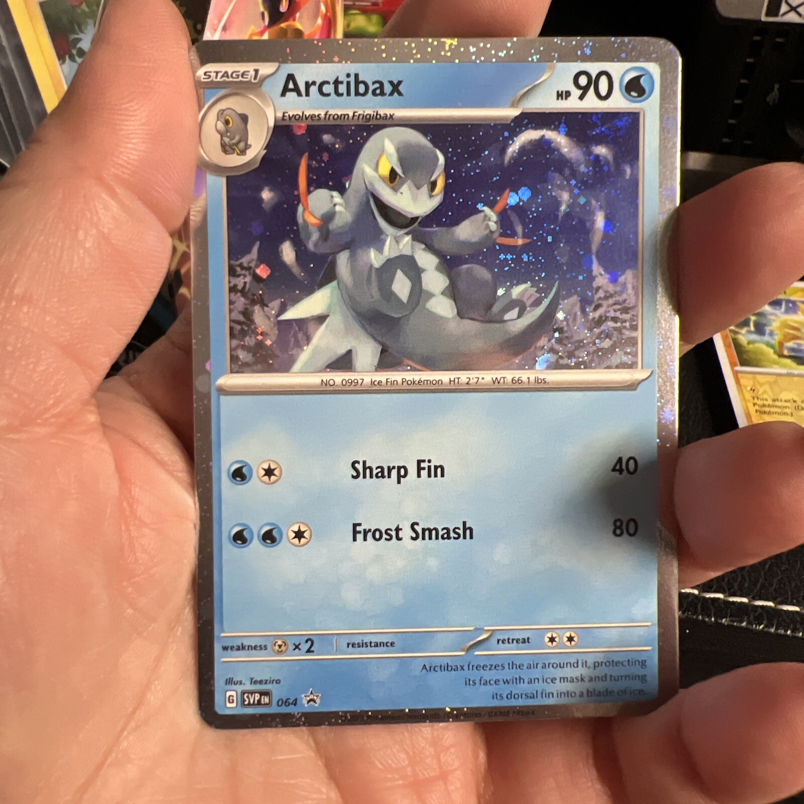 Pokemon Arctibax 064 64 Black Star Promo Holo Foil Card TCCCX