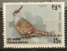 NEPAL - 1980 BIRDS. 15P CHEER PHESANT NHM SG 350