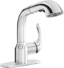 Glacier Bay Dunning Single-Handle Pull-Out Laundry Faucet with Dual Spray Functi