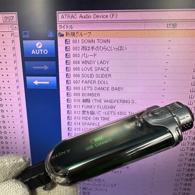 New Battery Sony NW-E407 Fully Tested MP3 Player Net Work Walkman