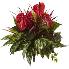 24in Mixed Anthurium Bush Set of 2