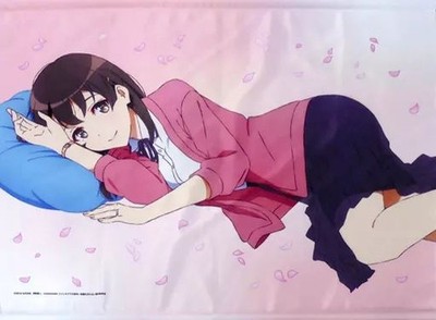 [Used] Tapestry Megumi Kato B2 tapestry ''Saekano: How to Raise a Boring