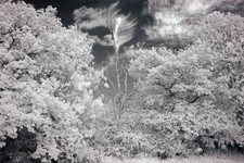 Modified Canon EOS M camera body. Converted Full Spectrum-Astro-IR. FREE FILTER!