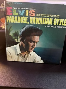 【中古】［CD］Paradise Now Paradise CD | eBay