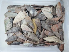 4 Piece Collection 3" Spearheads - Random Pick - Hand Knapped Agate/Jasper