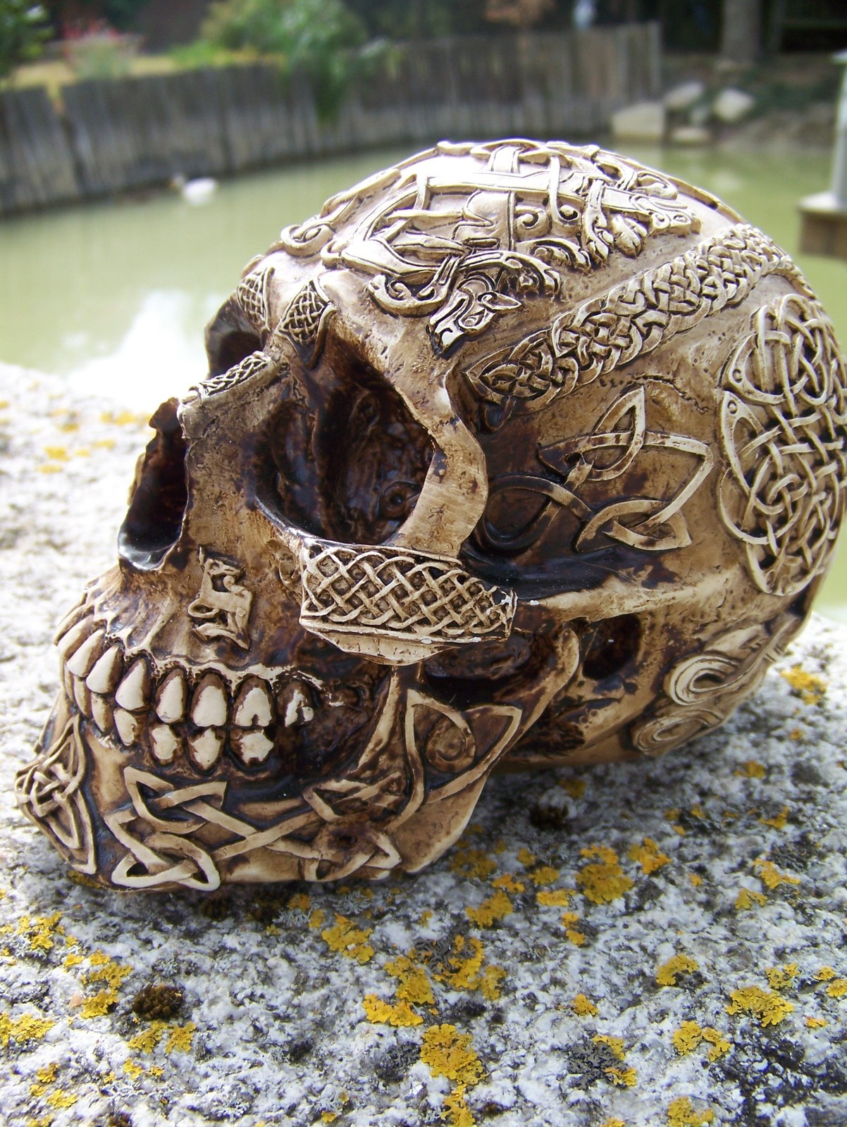 Figurine heroic fantasy skull HF0462 avec moulage 3D effet os vieilli