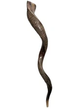 Shofar Yemenite Kudu Horn XXL 40”-44” New KOSHER Half Polished Free Shipping USA