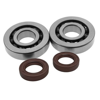 Polini NRG MC3 MC2 DD DT 50 2T Engine Mounting Kit