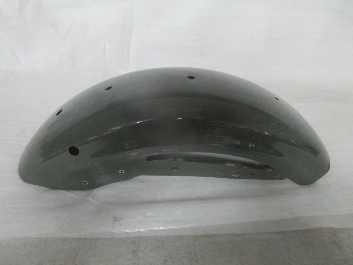 2021 Harley Davidson Sportster Iron 883 XL883N Rear Fender
