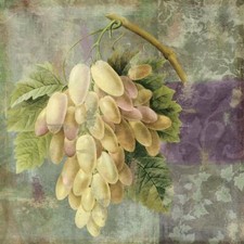 Ceramic Backsplash Tile Mural Fruit Vegetable Kitchen/Bathroom - Vin Margeaux I