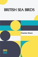 Charles Dixon | British Sea Birds | Taschenbuch | Englisch (2022) | Lector House