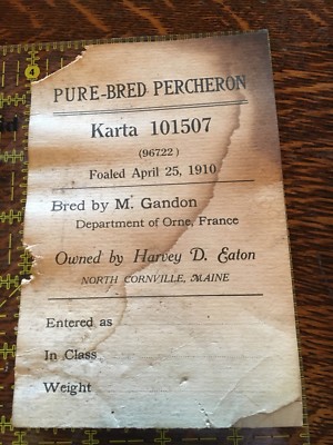 1910 Pure-bred Percheron Certification Of Karta - Harvey D. Eaton, Cornville, ME