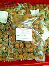 Aritha Reetha Fruits, Soap Nuts, Sapindus Indian Raw Whole Herbs for Hair Wash
