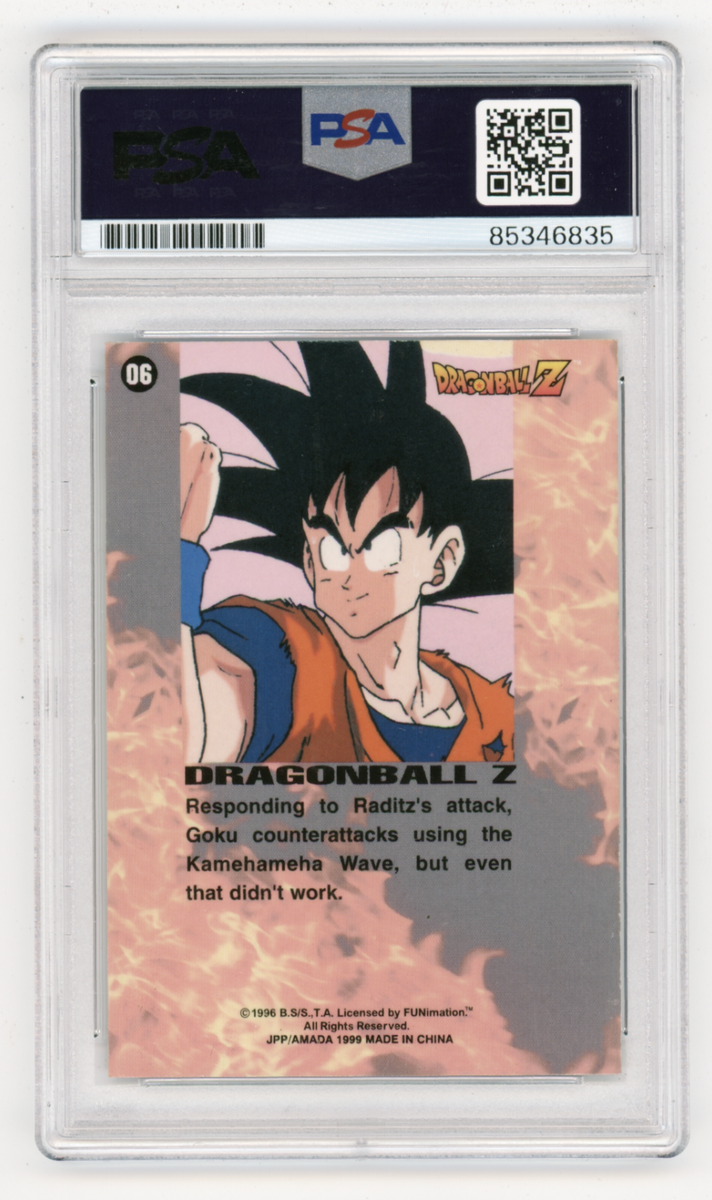 PSA Signed Sean Schemmel DBZ Is It Defeat Or Victory That Waits In