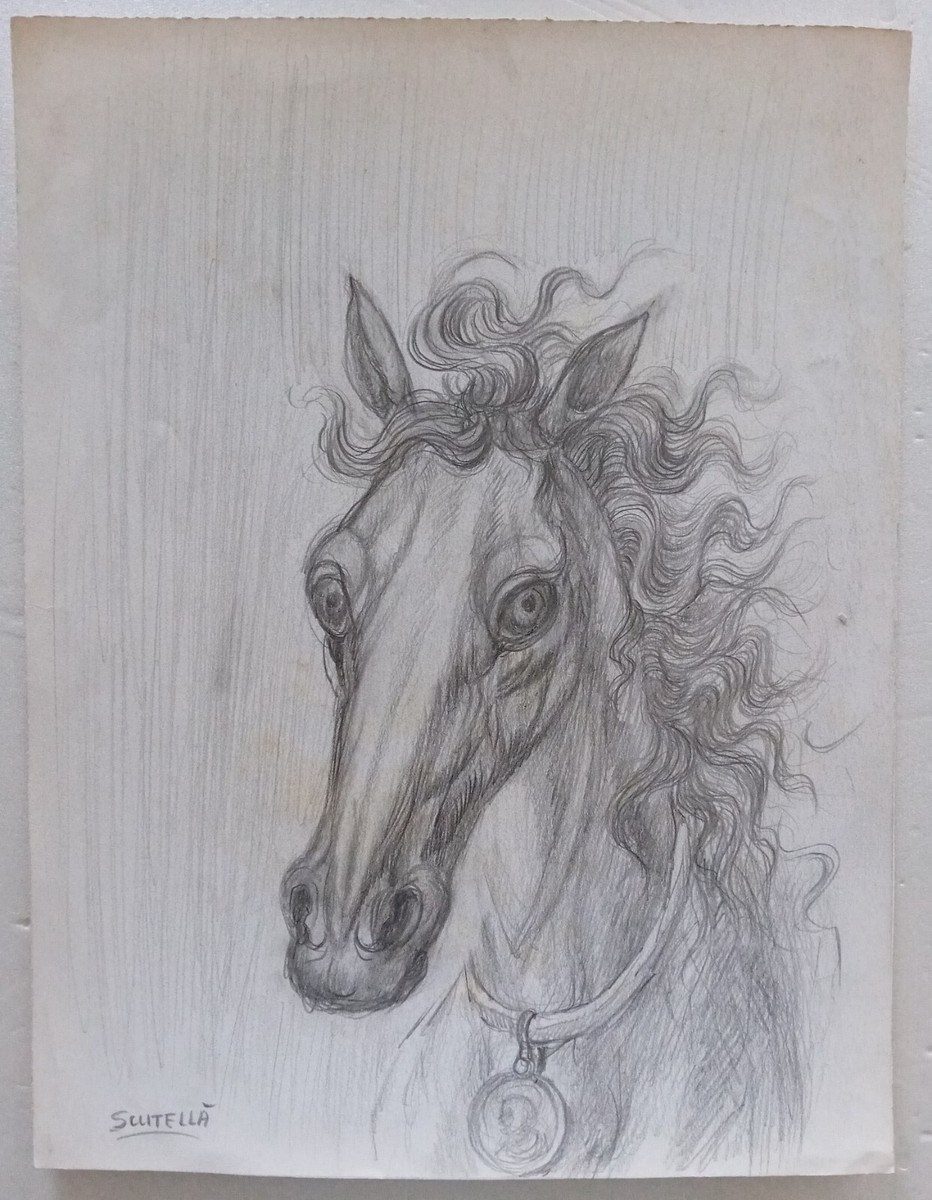 Saverio Scutellà Testa di cavallo Disegno Firmato 34,4x26,3 cm