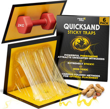 Glue Pest Traps (6 Pack) – Strong Adhesive Pads and Sticky Boards for Indoor Use